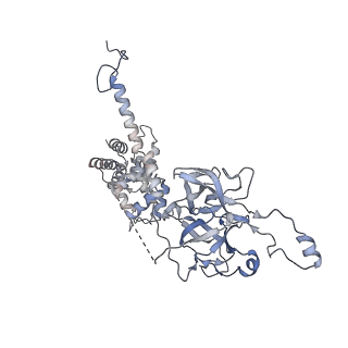 29685_8g2z_1N_v1-0
48-nm doublet microtubule from Tetrahymena thermophila strain CU428