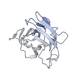 29685_8g2z_1Q_v1-0
48-nm doublet microtubule from Tetrahymena thermophila strain CU428