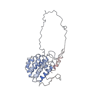29685_8g2z_1S_v1-0
48-nm doublet microtubule from Tetrahymena thermophila strain CU428
