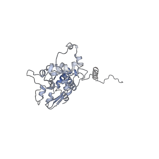 29685_8g2z_1T_v1-0
48-nm doublet microtubule from Tetrahymena thermophila strain CU428