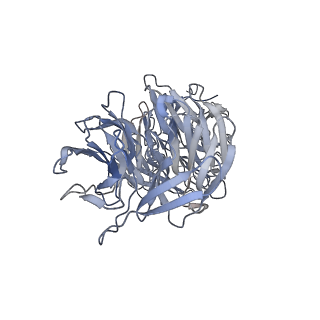 29685_8g2z_1U_v1-0
48-nm doublet microtubule from Tetrahymena thermophila strain CU428