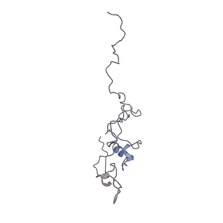 29685_8g2z_2A_v1-0
48-nm doublet microtubule from Tetrahymena thermophila strain CU428