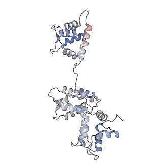 29685_8g2z_2B_v1-0
48-nm doublet microtubule from Tetrahymena thermophila strain CU428