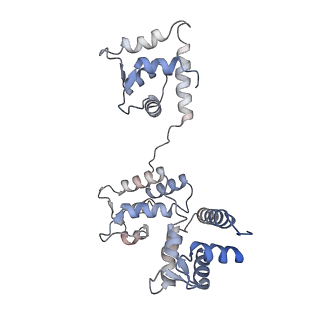 29685_8g2z_2C_v1-0
48-nm doublet microtubule from Tetrahymena thermophila strain CU428