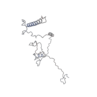 29685_8g2z_2D_v1-0
48-nm doublet microtubule from Tetrahymena thermophila strain CU428