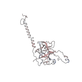29685_8g2z_2N_v1-0
48-nm doublet microtubule from Tetrahymena thermophila strain CU428