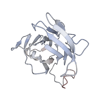 29685_8g2z_2Q_v1-0
48-nm doublet microtubule from Tetrahymena thermophila strain CU428
