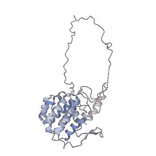 29685_8g2z_2S_v1-0
48-nm doublet microtubule from Tetrahymena thermophila strain CU428