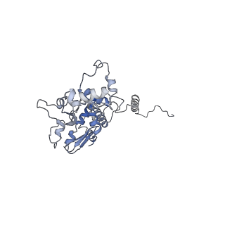 29685_8g2z_2T_v1-0
48-nm doublet microtubule from Tetrahymena thermophila strain CU428