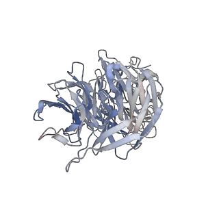 29685_8g2z_2U_v1-0
48-nm doublet microtubule from Tetrahymena thermophila strain CU428