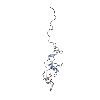 29685_8g2z_3A_v1-0
48-nm doublet microtubule from Tetrahymena thermophila strain CU428