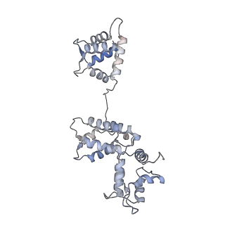 29685_8g2z_3B_v1-0
48-nm doublet microtubule from Tetrahymena thermophila strain CU428