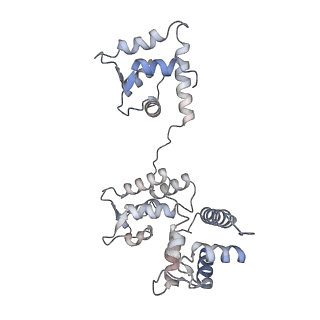 29685_8g2z_3C_v1-0
48-nm doublet microtubule from Tetrahymena thermophila strain CU428