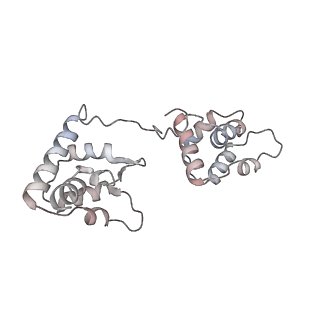 29685_8g2z_3L_v1-0
48-nm doublet microtubule from Tetrahymena thermophila strain CU428