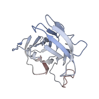 29685_8g2z_3Q_v1-0
48-nm doublet microtubule from Tetrahymena thermophila strain CU428