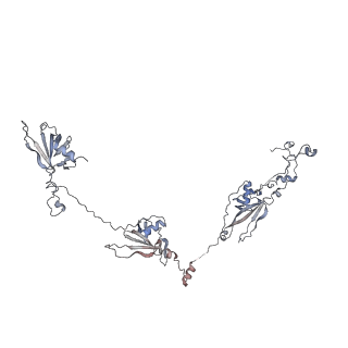 29685_8g2z_3R_v1-0
48-nm doublet microtubule from Tetrahymena thermophila strain CU428