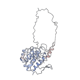 29685_8g2z_3S_v1-0
48-nm doublet microtubule from Tetrahymena thermophila strain CU428