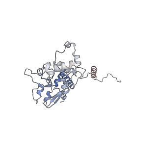 29685_8g2z_3T_v1-0
48-nm doublet microtubule from Tetrahymena thermophila strain CU428