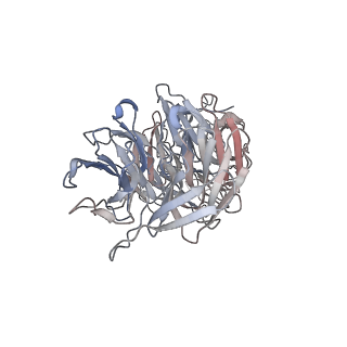 29685_8g2z_3U_v1-0
48-nm doublet microtubule from Tetrahymena thermophila strain CU428