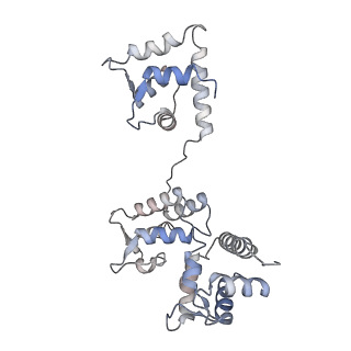 29685_8g2z_4C_v1-0
48-nm doublet microtubule from Tetrahymena thermophila strain CU428