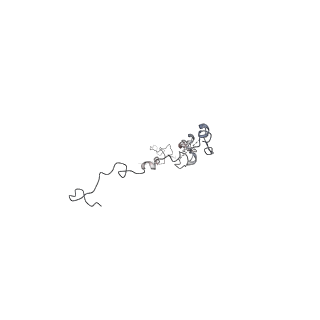 29685_8g2z_4F_v1-0
48-nm doublet microtubule from Tetrahymena thermophila strain CU428