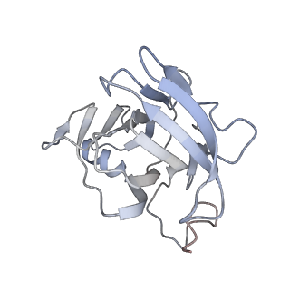 29685_8g2z_4Q_v1-0
48-nm doublet microtubule from Tetrahymena thermophila strain CU428