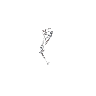 29685_8g2z_5G_v1-0
48-nm doublet microtubule from Tetrahymena thermophila strain CU428