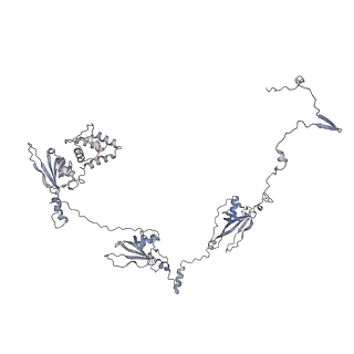 29685_8g2z_5R_v1-0
48-nm doublet microtubule from Tetrahymena thermophila strain CU428
