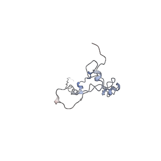 29685_8g2z_6F_v1-0
48-nm doublet microtubule from Tetrahymena thermophila strain CU428