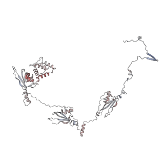 29685_8g2z_6R_v1-0
48-nm doublet microtubule from Tetrahymena thermophila strain CU428