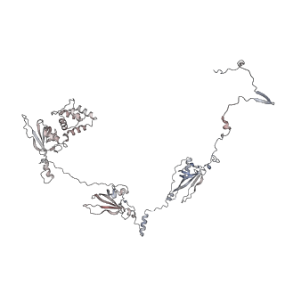 29685_8g2z_7R_v1-0
48-nm doublet microtubule from Tetrahymena thermophila strain CU428