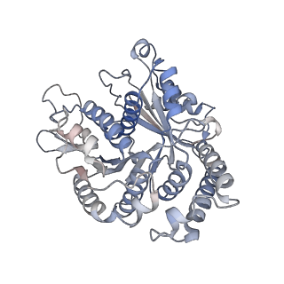 29685_8g2z_AA_v1-0
48-nm doublet microtubule from Tetrahymena thermophila strain CU428