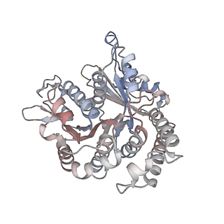 29685_8g2z_AB_v1-0
48-nm doublet microtubule from Tetrahymena thermophila strain CU428