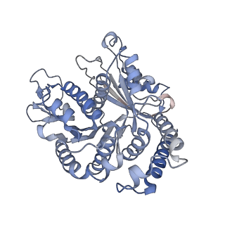 29685_8g2z_AC_v1-0
48-nm doublet microtubule from Tetrahymena thermophila strain CU428