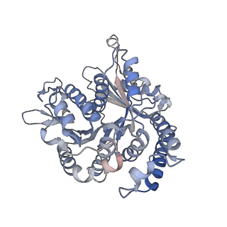 29685_8g2z_AD_v1-0
48-nm doublet microtubule from Tetrahymena thermophila strain CU428