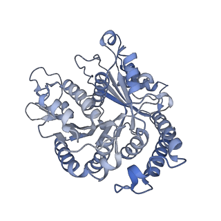 29685_8g2z_AE_v1-0
48-nm doublet microtubule from Tetrahymena thermophila strain CU428