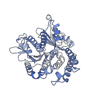 29685_8g2z_AF_v1-0
48-nm doublet microtubule from Tetrahymena thermophila strain CU428