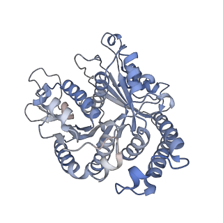 29685_8g2z_AG_v1-0
48-nm doublet microtubule from Tetrahymena thermophila strain CU428