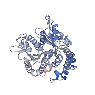 29685_8g2z_AH_v1-0
48-nm doublet microtubule from Tetrahymena thermophila strain CU428