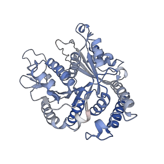 29685_8g2z_AI_v1-0
48-nm doublet microtubule from Tetrahymena thermophila strain CU428