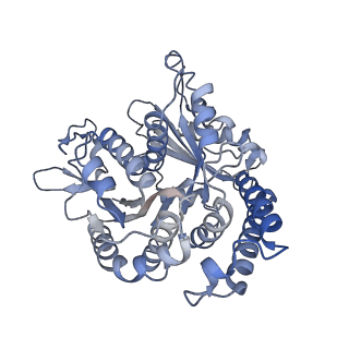29685_8g2z_AJ_v1-0
48-nm doublet microtubule from Tetrahymena thermophila strain CU428