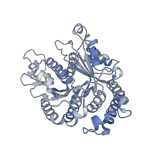 29685_8g2z_AK_v1-0
48-nm doublet microtubule from Tetrahymena thermophila strain CU428