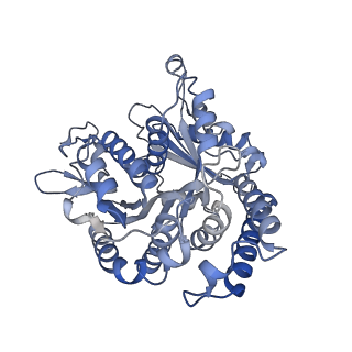 29685_8g2z_AL_v1-0
48-nm doublet microtubule from Tetrahymena thermophila strain CU428