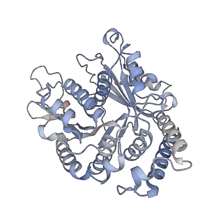 29685_8g2z_AM_v1-0
48-nm doublet microtubule from Tetrahymena thermophila strain CU428