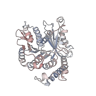 29685_8g2z_BA_v1-0
48-nm doublet microtubule from Tetrahymena thermophila strain CU428