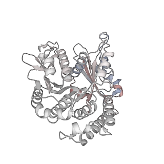 29685_8g2z_BB_v1-0
48-nm doublet microtubule from Tetrahymena thermophila strain CU428