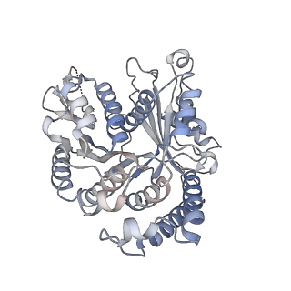 29685_8g2z_BC_v1-0
48-nm doublet microtubule from Tetrahymena thermophila strain CU428