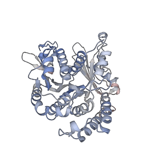 29685_8g2z_BD_v1-0
48-nm doublet microtubule from Tetrahymena thermophila strain CU428