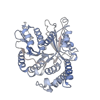29685_8g2z_BE_v1-0
48-nm doublet microtubule from Tetrahymena thermophila strain CU428