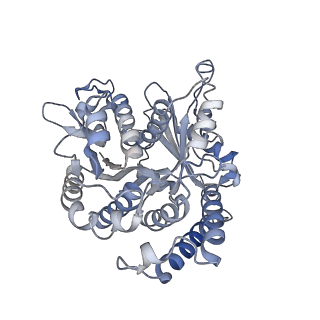 29685_8g2z_BF_v1-0
48-nm doublet microtubule from Tetrahymena thermophila strain CU428